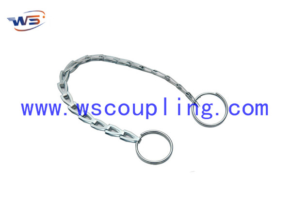Safety clip with chain