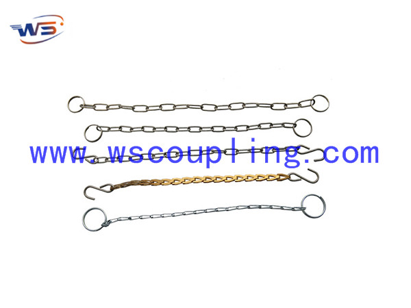 Safety clip with chain